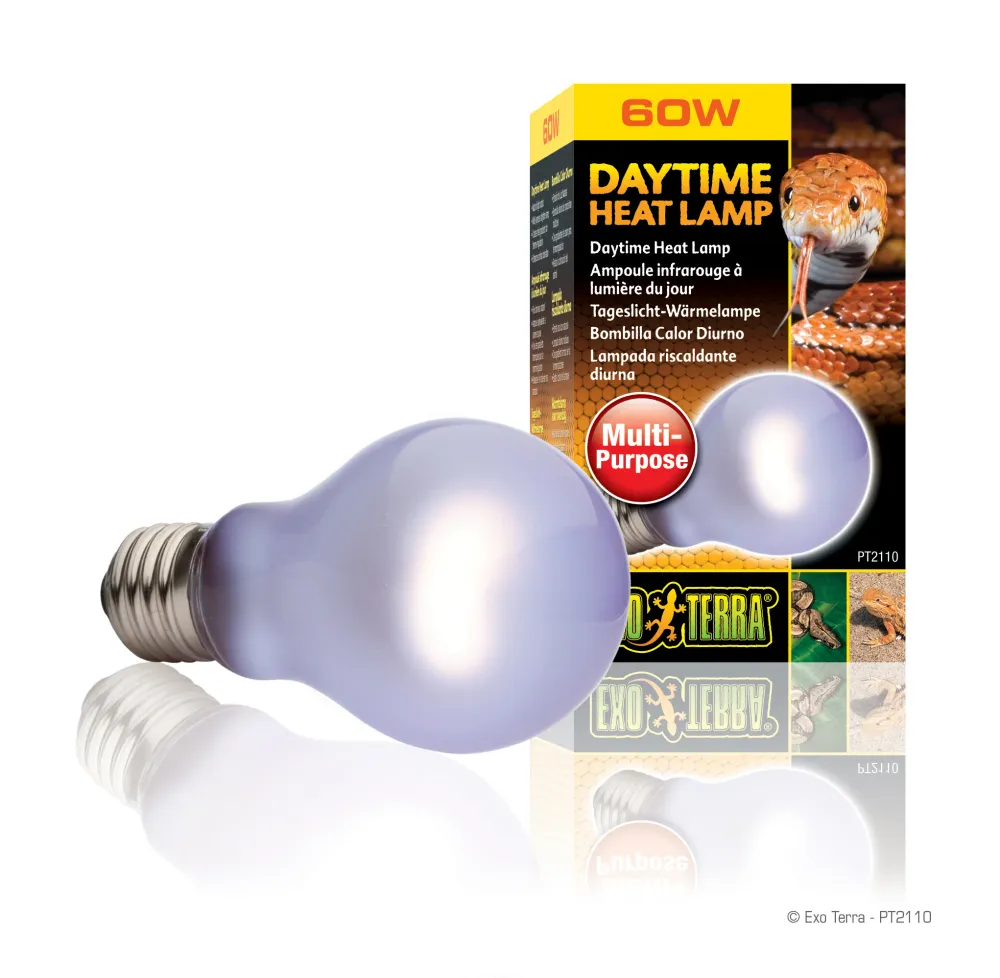 Lampe chauffante diurne Exo Terra (produit sur commande spéciale)