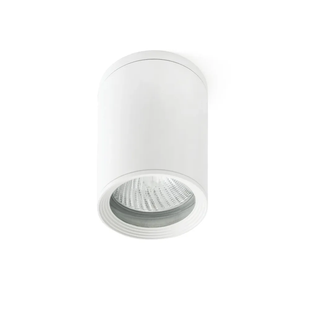 Faro Tata Ceiling White 1L Par30 75W