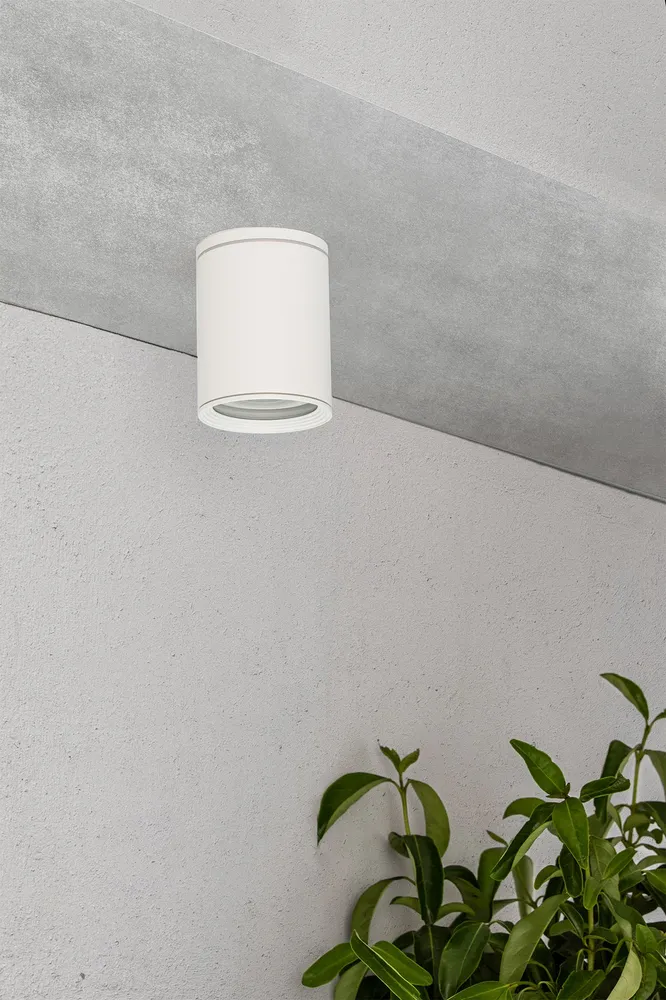 Faro Tata Ceiling White 1L Par30 75W