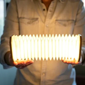 Lampe Accordéon - Intérieur Gingko