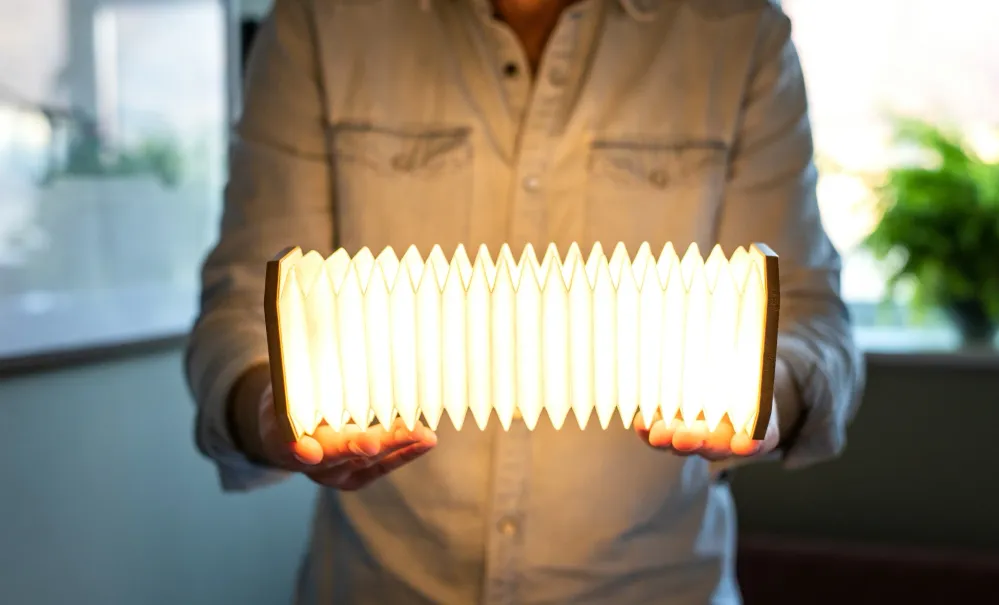 Lampe Accordéon - Intérieur Gingko