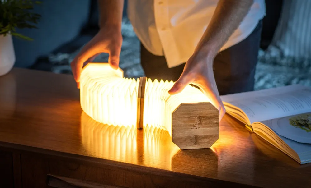 Lampe Accordéon - Intérieur Gingko