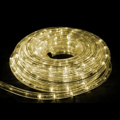 GlobalTone Cordon lumineux DEL, 100 LEDS, IP67, 4.8W, Blanc Chaud , 12vdc, 2.1mm, 10m