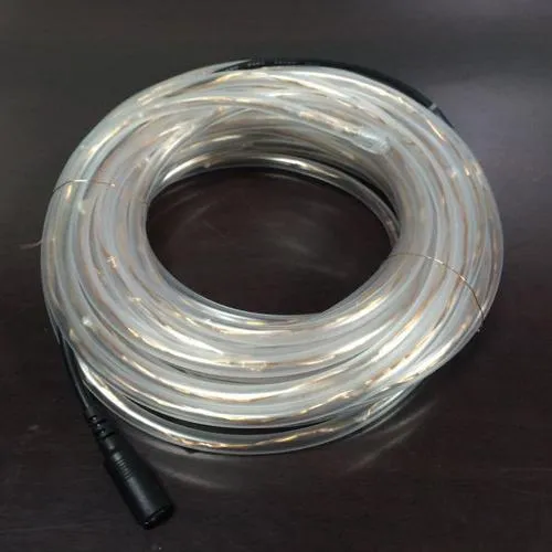 GlobalTone Cordon lumineux DEL, 100 LEDS, IP67, 4.8W, Blanc Chaud , 12vdc, 2.1mm, 10m