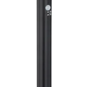 Lampadaire Globo Lighting Horace en acier inoxydable noir E27