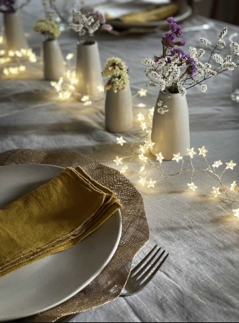 Guirlande cascade 200 étoiles LED