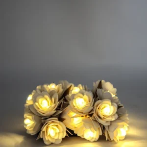 Guirlande lumineuse USB Rose