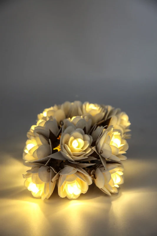 Guirlande lumineuse USB Rose