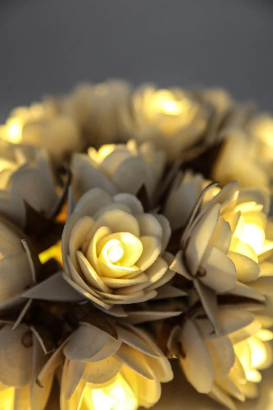 Guirlande lumineuse USB Rose