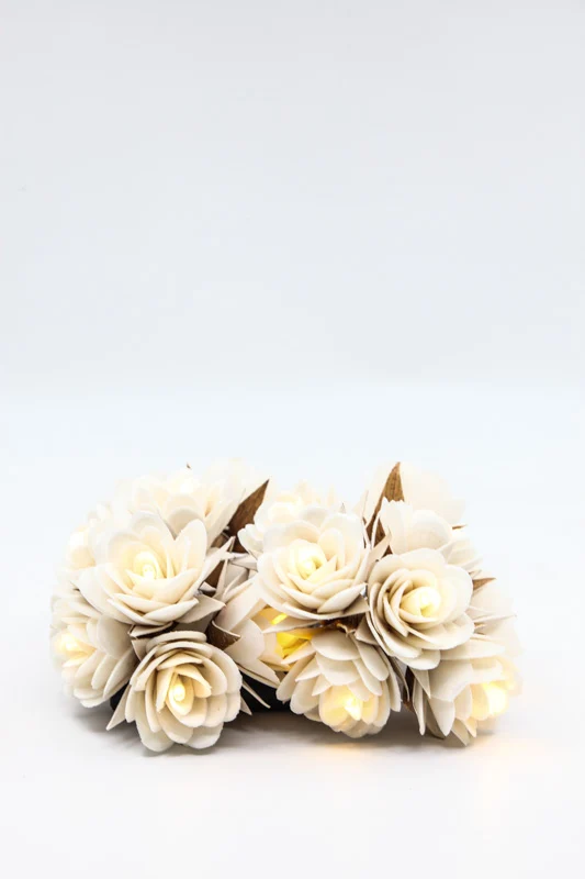 Guirlande lumineuse USB Rose
