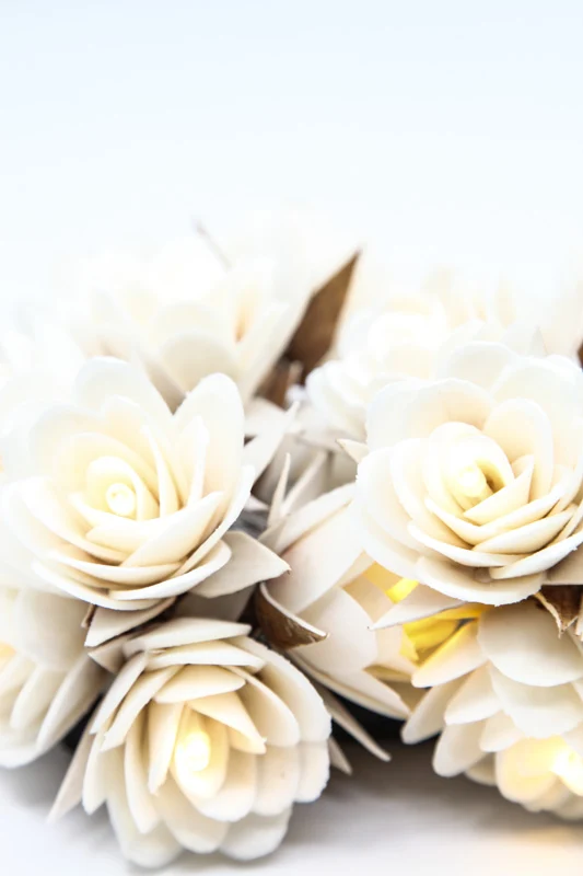 Guirlande lumineuse USB Rose