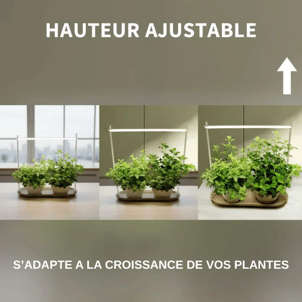 Lampe de Croissance LED "Urban Green" pour Plantes d'Intérieur Jungle Feed
