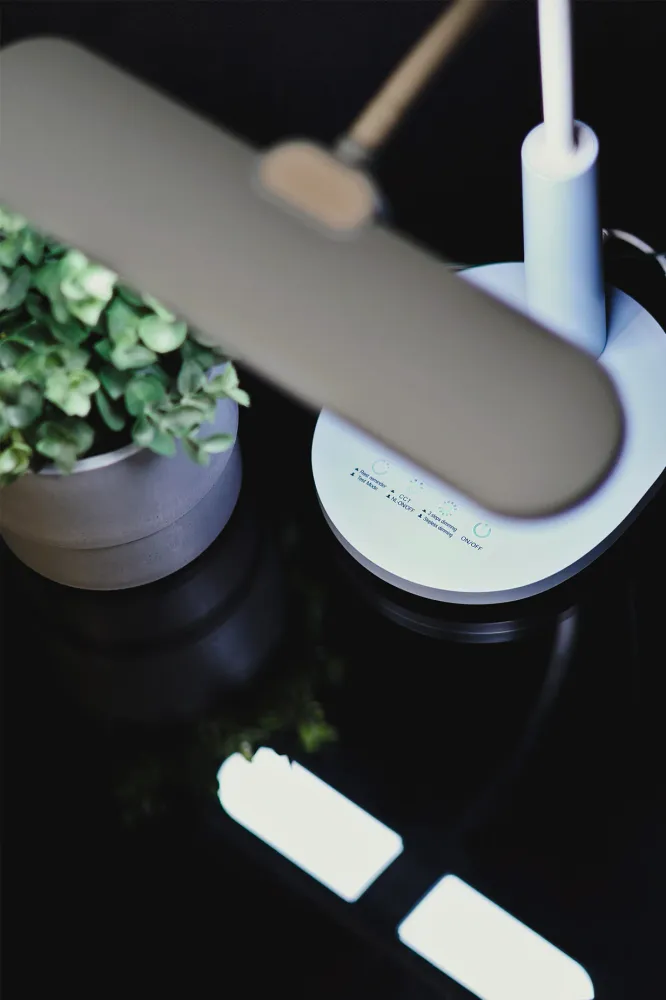 Lampe de bureau Kaja Milo LED H 37,0cm
