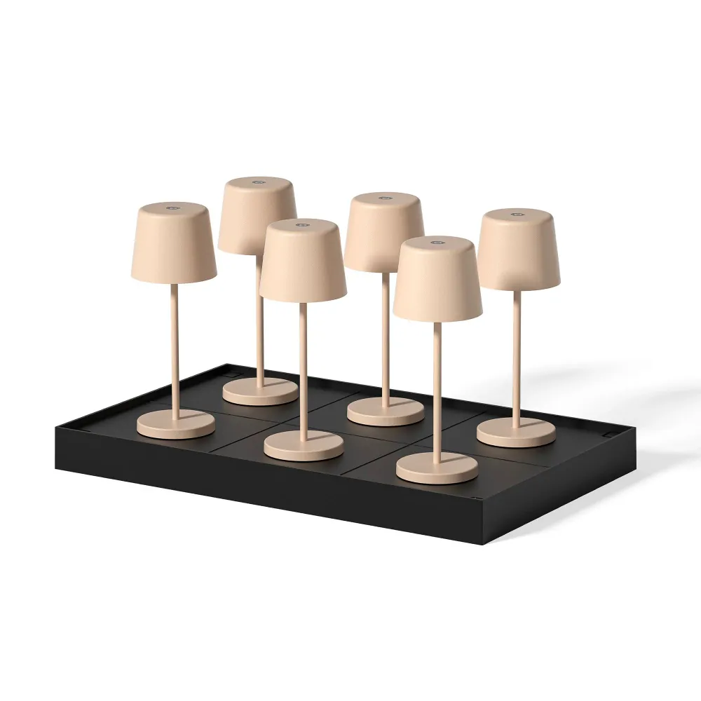 6x KELLY MINI SAND + PLATEAU DE CHARGEMENT