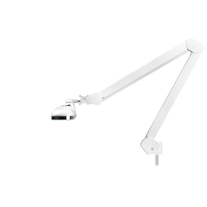 Lampe d'atelier LED élégante 801-tl avec une intensité et une couleur de lumière blanche rég.