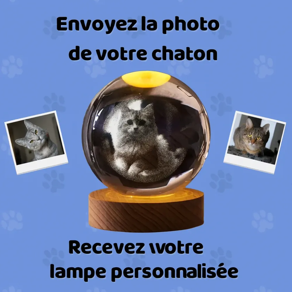 Lampe 3D Personnalisée – Avec la photo de votre chat