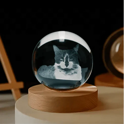 Lampe 3D Personnalisée – Avec la photo de votre chat
