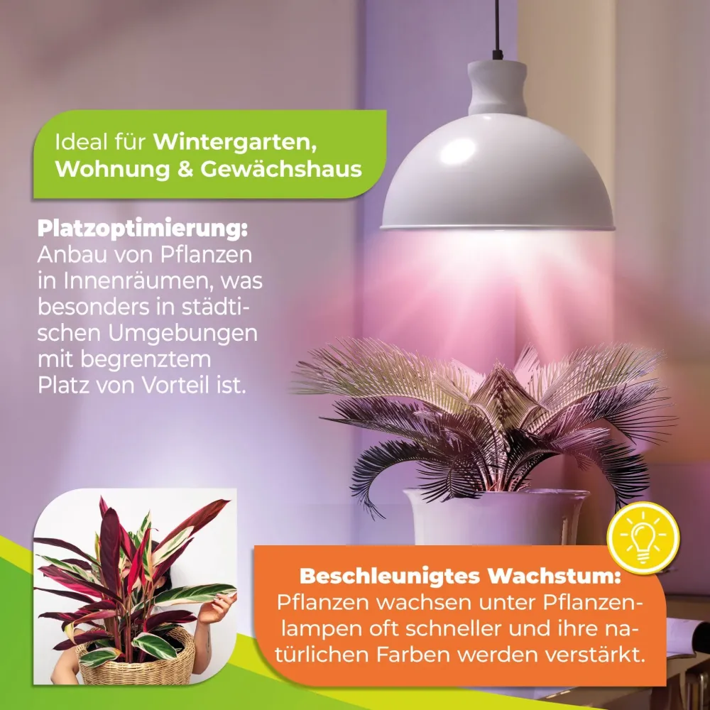 Lampe de plante "Florabooster 500" avec 6,5 watts et un spectre complet blanc LED