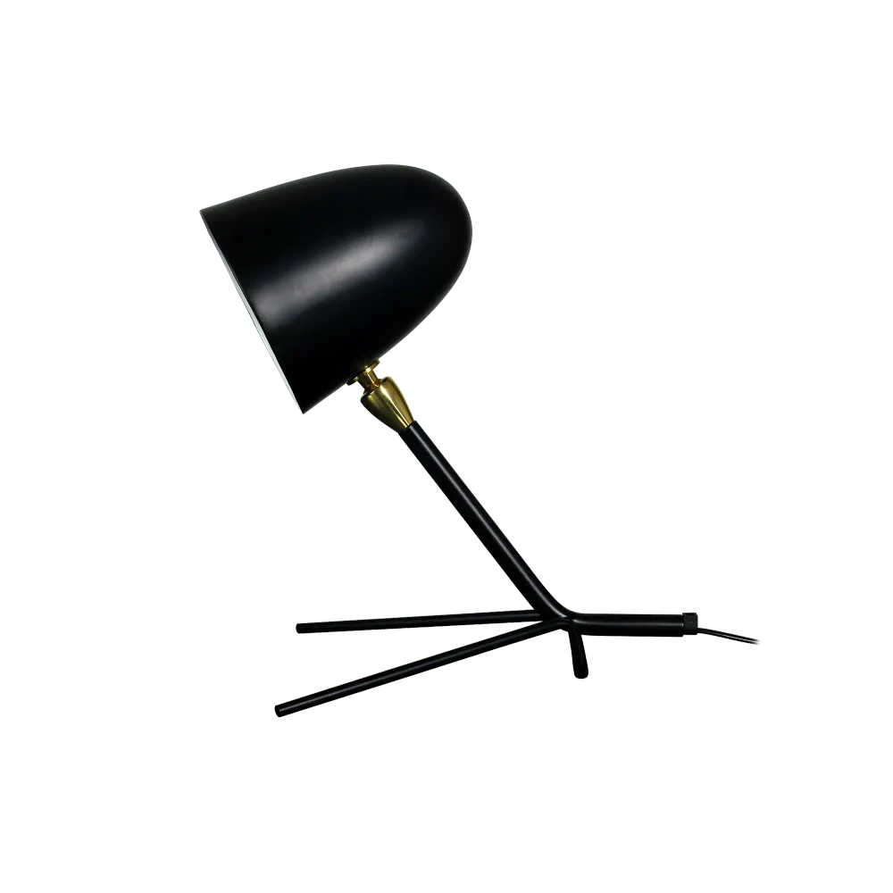 Lampe de Table Katur