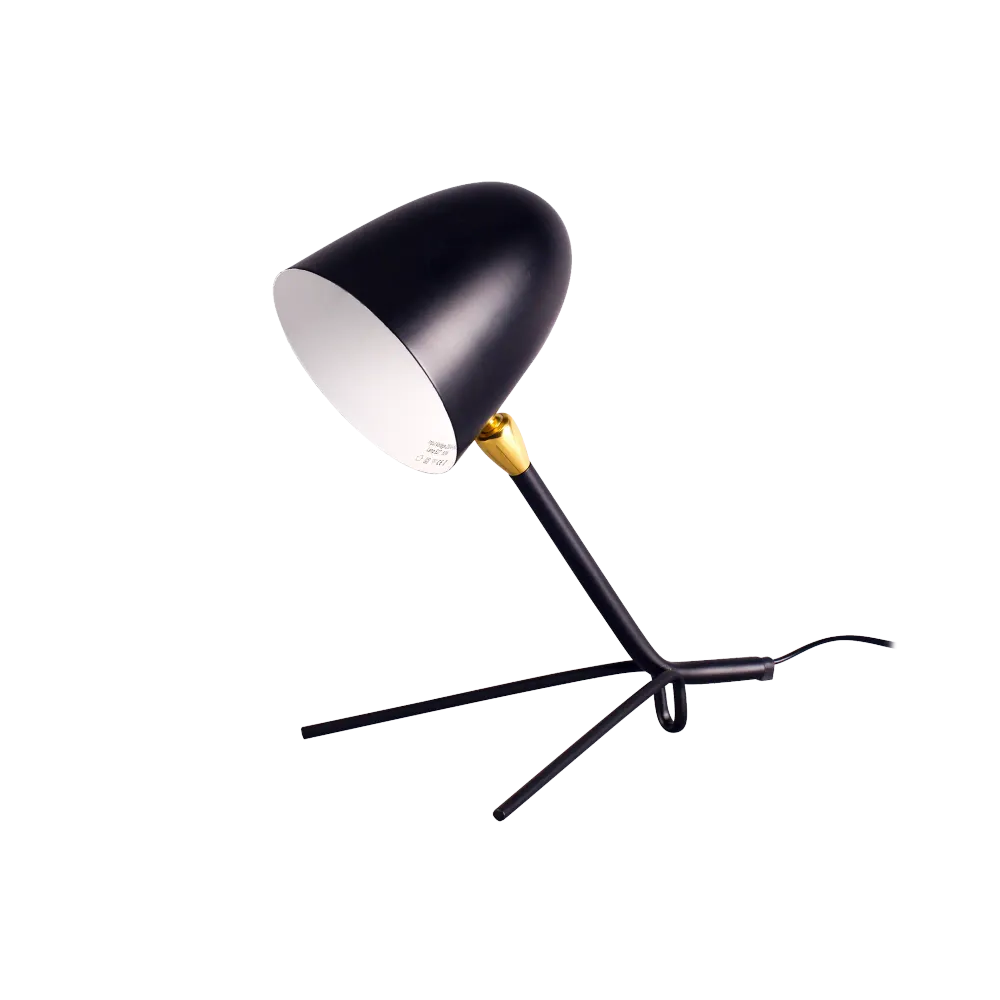 Lampe de Table Katur