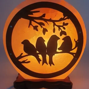 Lampe de Sel Oiseaux 5KG L'AURA
