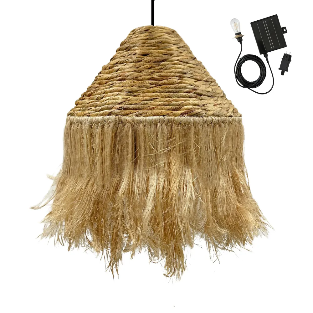 Suspension solaire LEONORA SOLAR en jacinthe d'eau avec câble hybride secteur et solaire 5m de longueur Lumisky