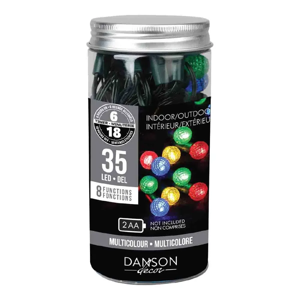 Guirlande lumineuse LED Multicolore en pot (35 lumières) Magasins Hart | Hart Stores