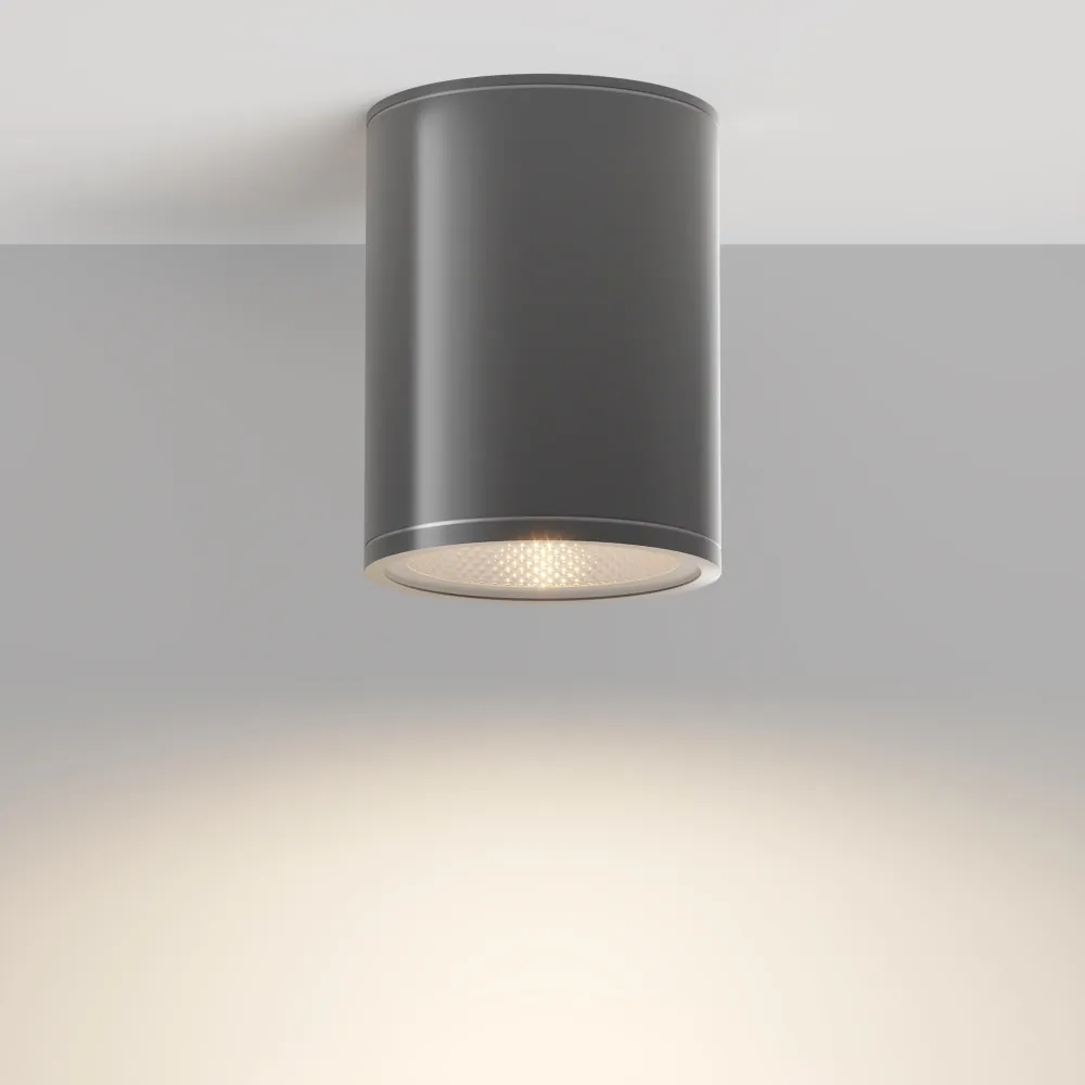 Projecteur extérieur Maytoni Bar 1L, LED graphite D 9 cm
