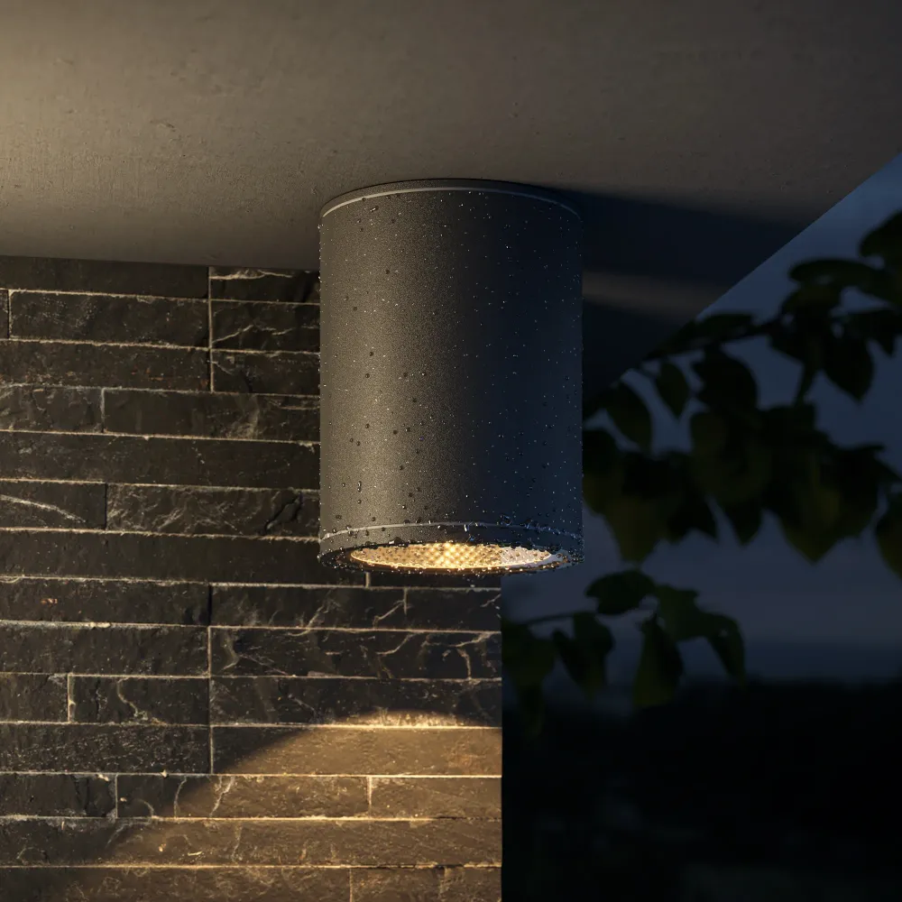 Projecteur extérieur Maytoni Bar 1L, LED graphite D 9 cm