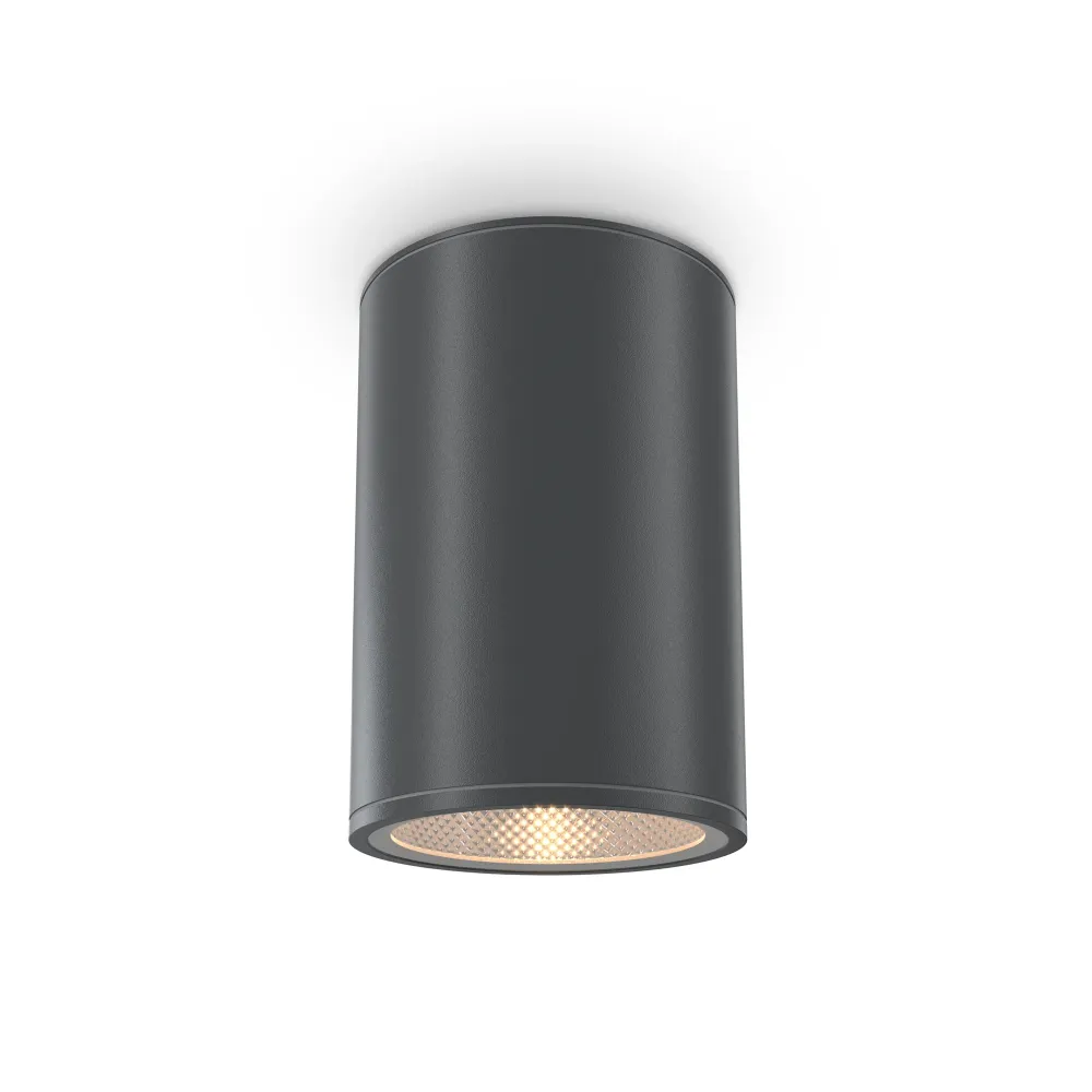 Projecteur extérieur Maytoni Bar 1L, LED graphite D 10,8 cm