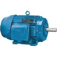 Moteur électrique 15 CV triphasé pour lavage performant