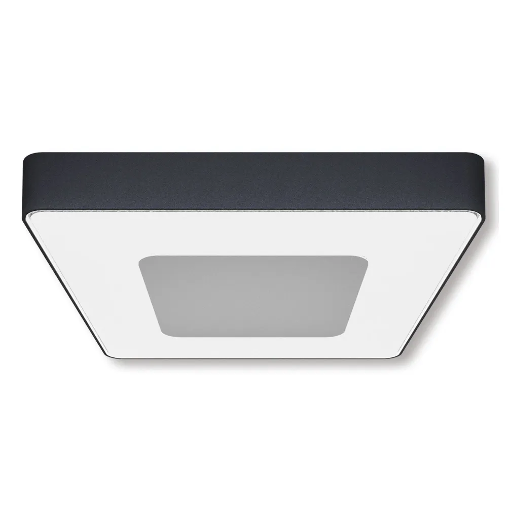 Applique murale extérieure LED Näve IP54 Mio s : 27 cm avec détecteur de mouvement Naeve