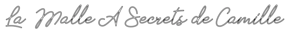 Néon personnalisé: La Malle Secr...