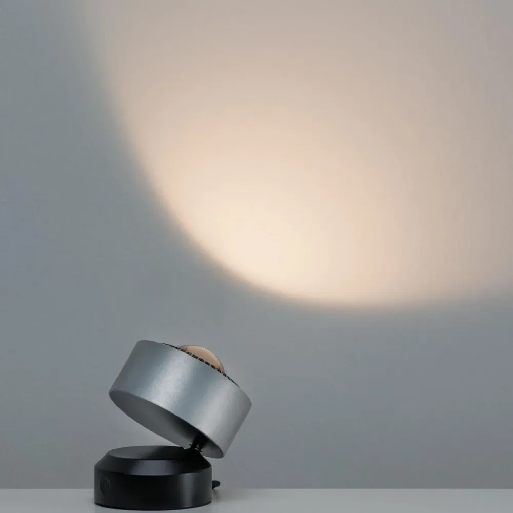 Spot à poser pour tableau LED Aldan 3,5W noir et alu brossé Paulmann