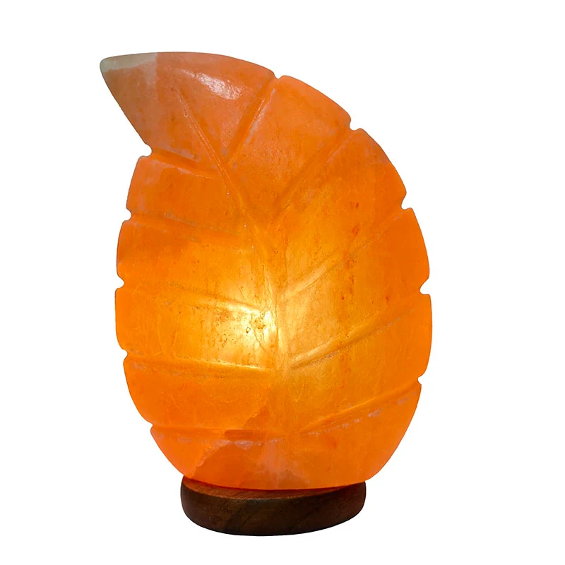Lampe en sel en forme de Feuille avec carton blanc et système éclairage. Lampe livrée avec branchement et ampoule. Phoenix