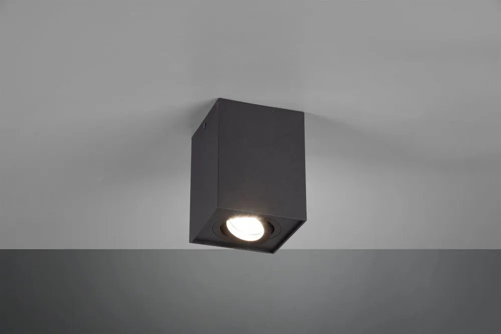 Plafonnier Biscuit 613000132