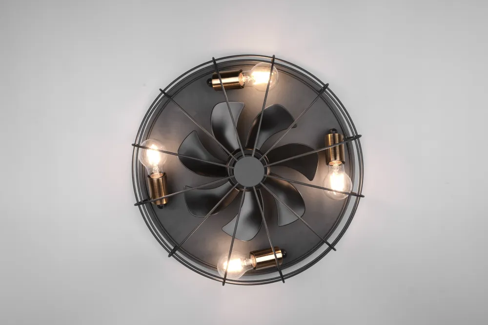Plafonnier ventilateur noir Trio R61095032
