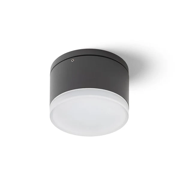 Plafonnier extérieur Rendl Orin 1L LED 10W 3000K gris/blanc Grey