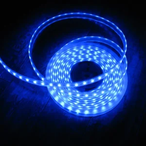Ruban led 60 leds 5050 / m IP 68 12 V Bleu 66 € HT