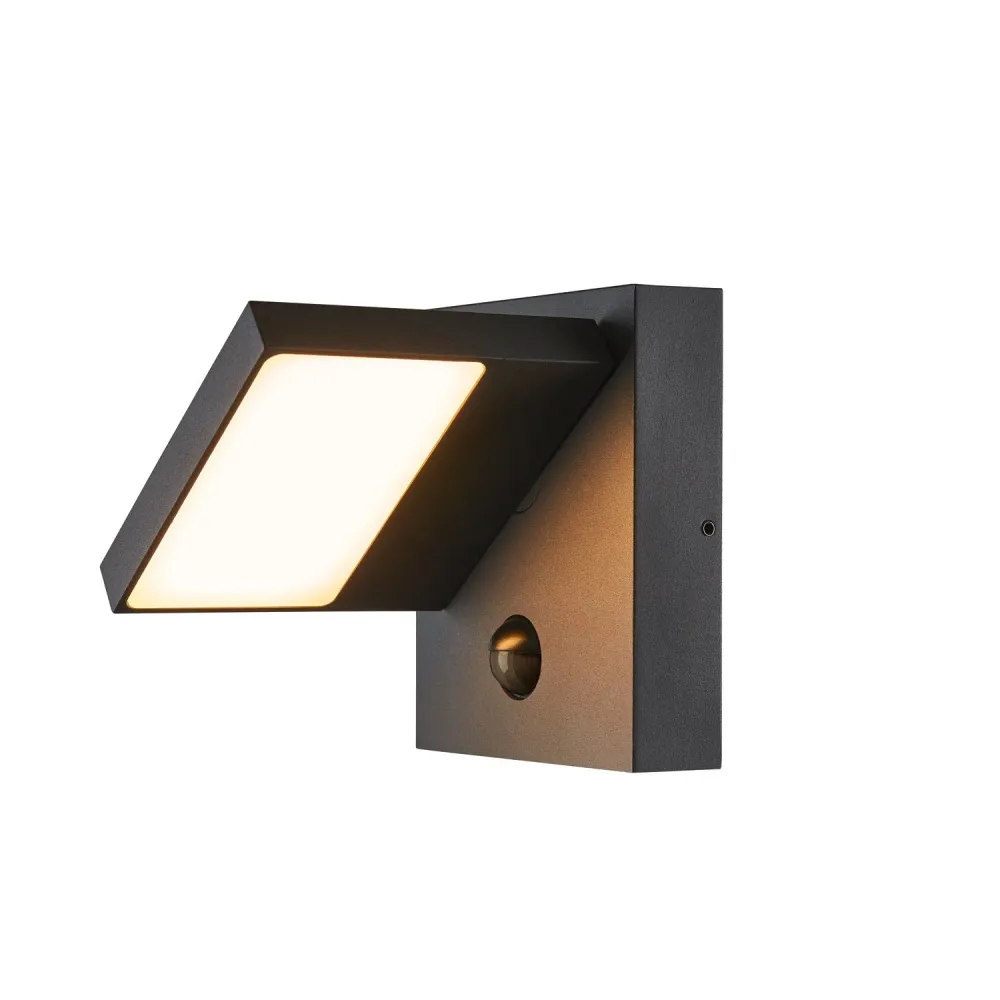 SLV Lampe d'extérieur ABRIDOR SENSOR IP54 Anthracite