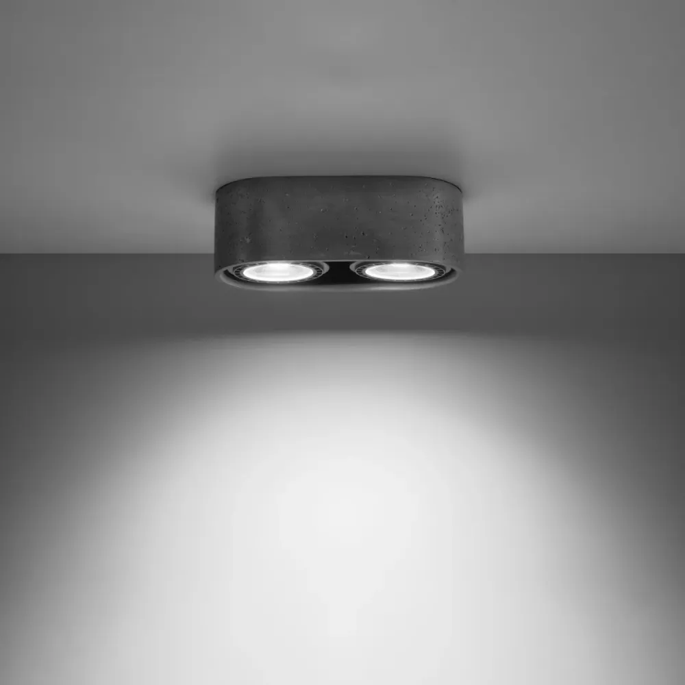 Spots de plafond Sollux Lighting Basic 2L GU10/ES111 gris