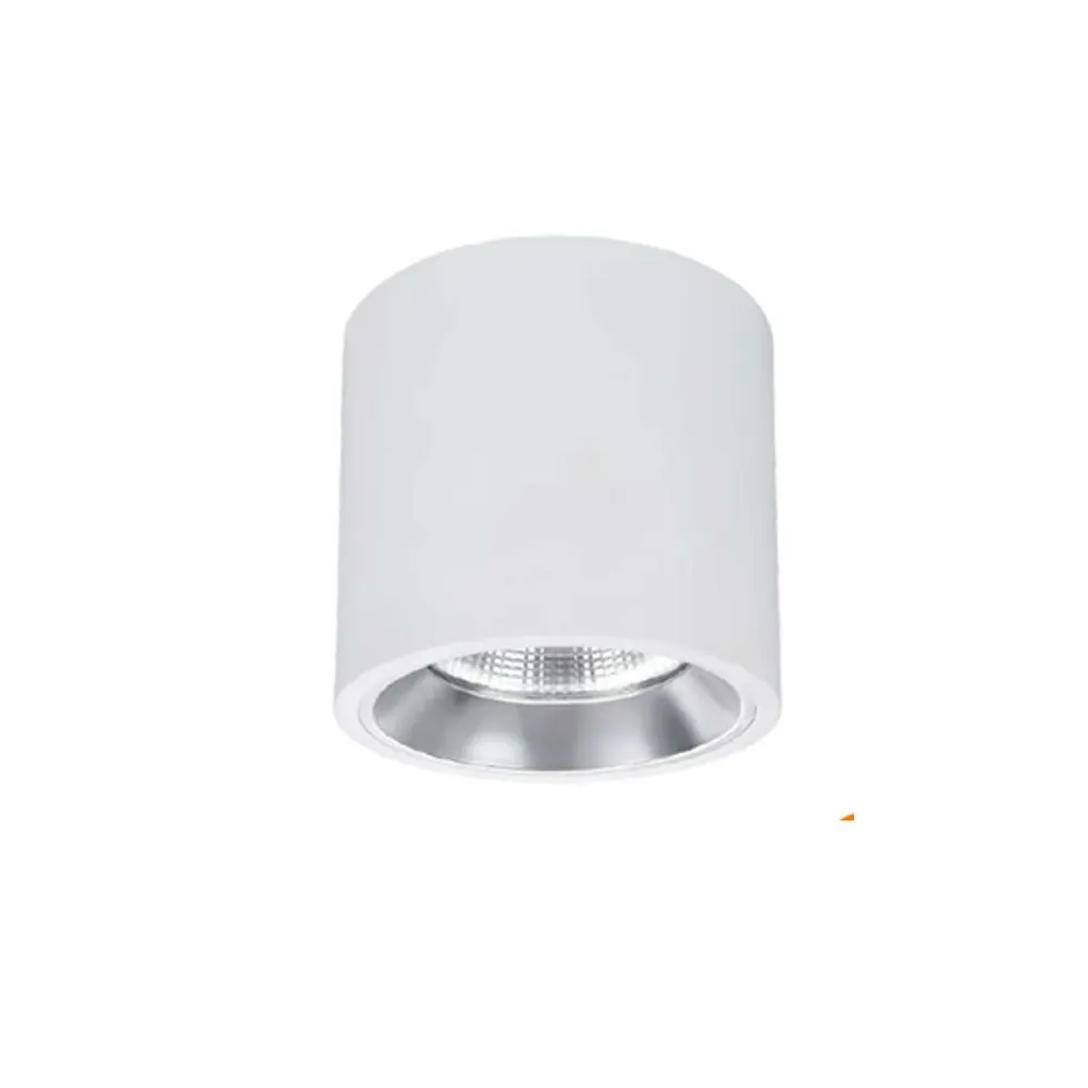 Spot LED de plafond cylindrique 15 W 36° 4000 K blanc
