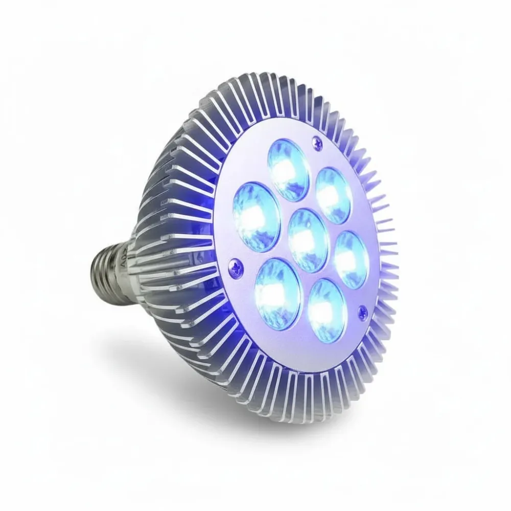 Ampoule LED PAR30 Bleu 21W 520nm E27 SQES