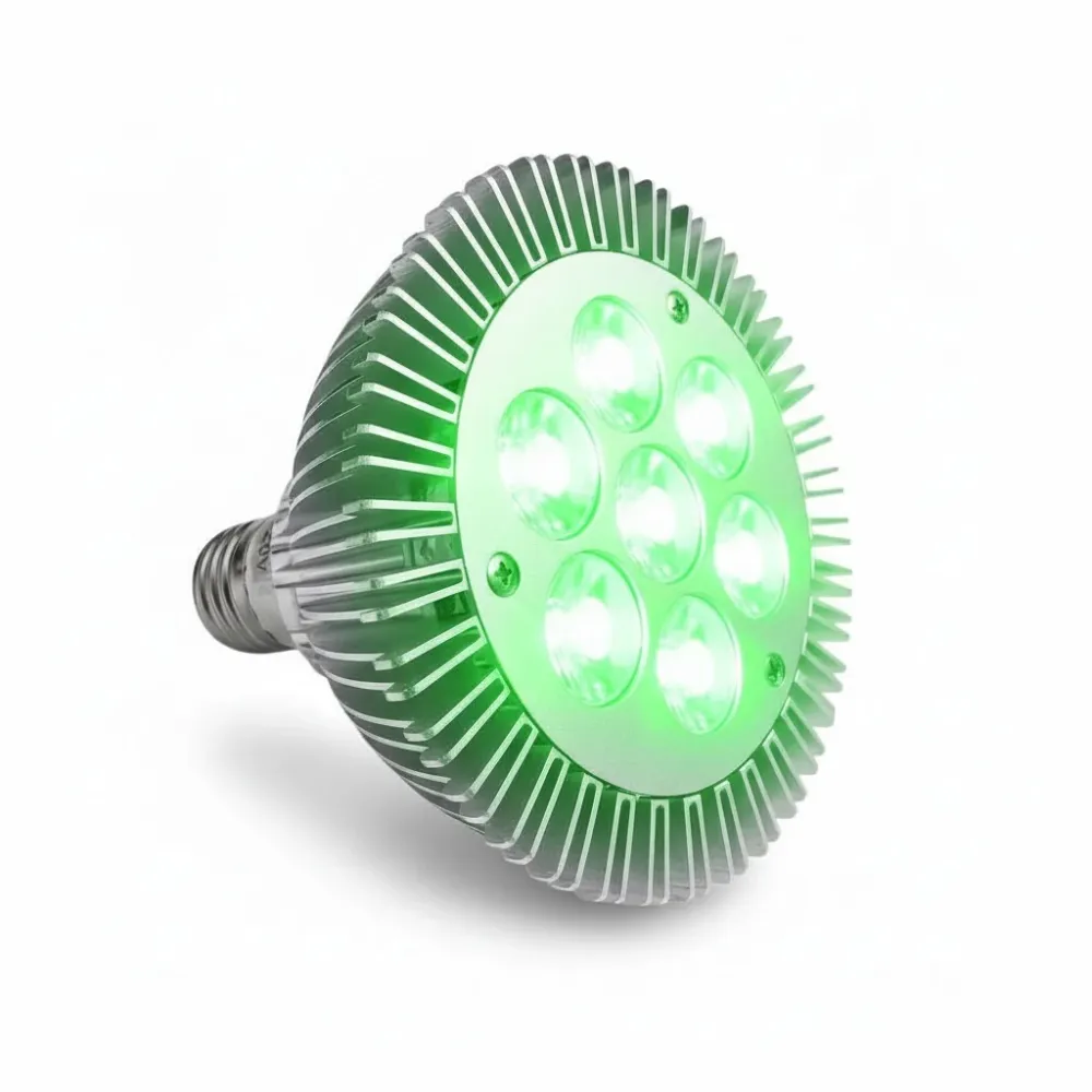Ampoule LED PAR30 Verte 21W 520nm E27 SQES