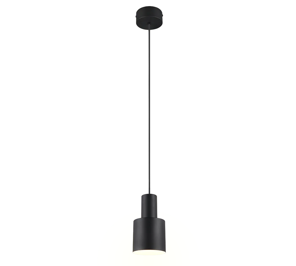 Trio Agudo Pendant lamp 1L black 319400132