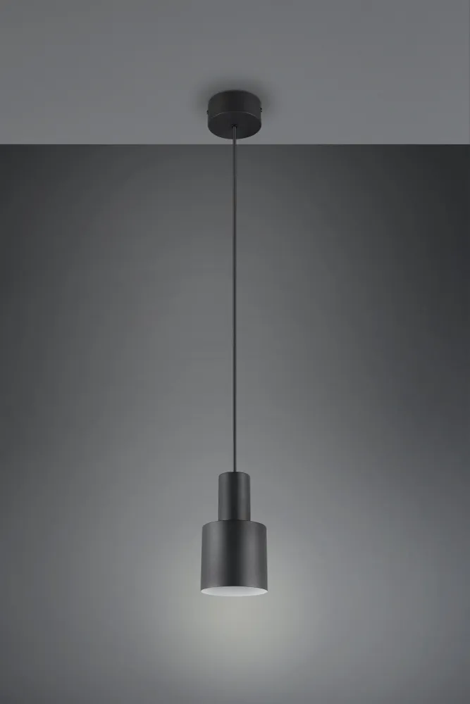 Trio Agudo Pendant lamp 1L black 319400132