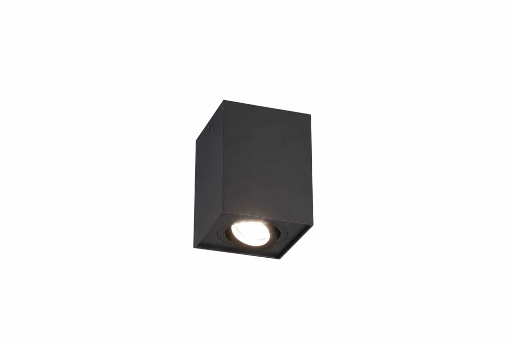 Trio Biscuit Black mat metal ceiling light 613000132