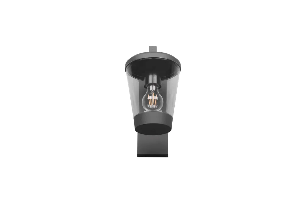 Trio Cavado Anthracite Aluminum Exterior Wall Light 211060142