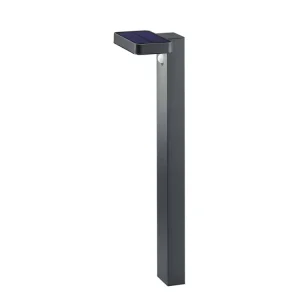 Trio Esquel Anthracite steel LED beacon R42261142