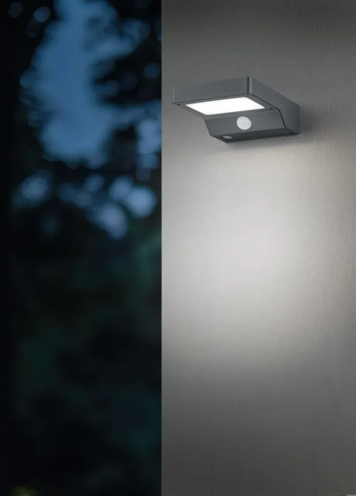 Trio Fomosa Anthracite Plastic LED Outdoor Wall Light R22281142